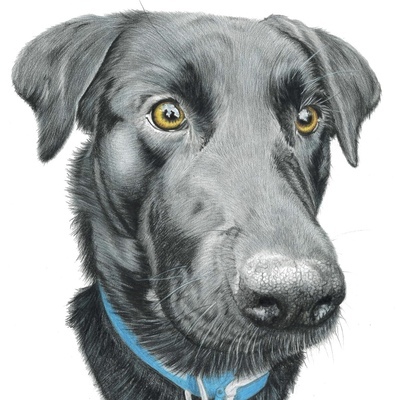 Artist image