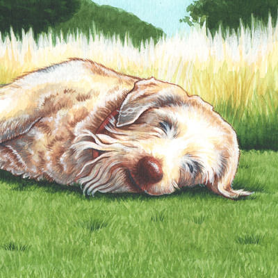 Artist image