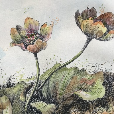 Artist image