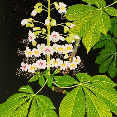Artist image