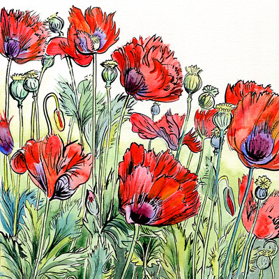 Wolverton Manor Garden Fair