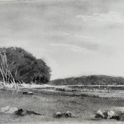 Artist image