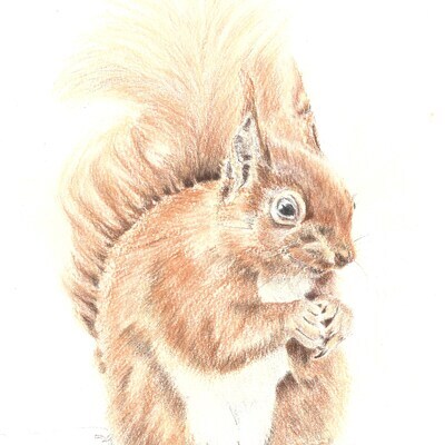 Artist image