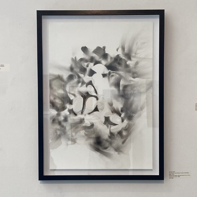 Artist image