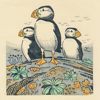 Artist image