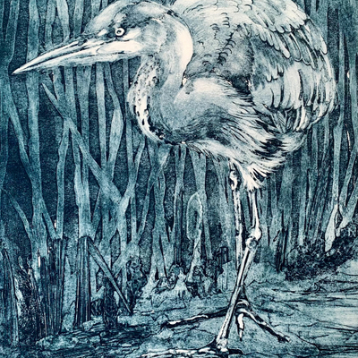 Artist image