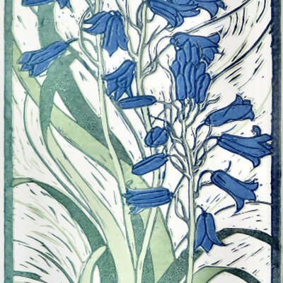 Artist image