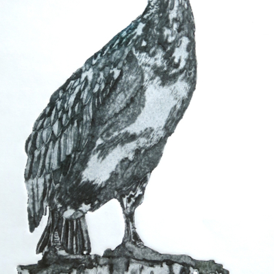 Artist image