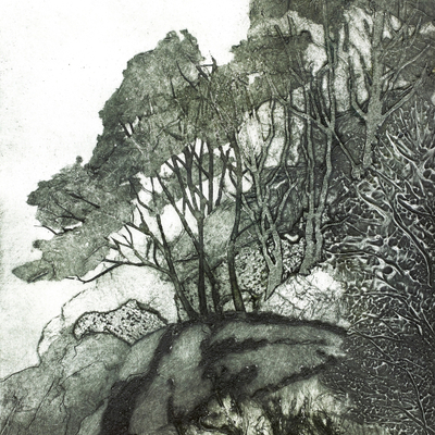 Artist image