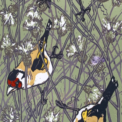 Artist image
