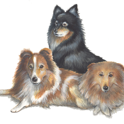 Artist image