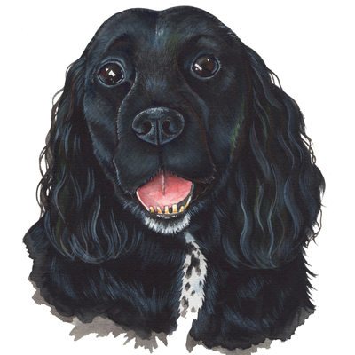 Artist image