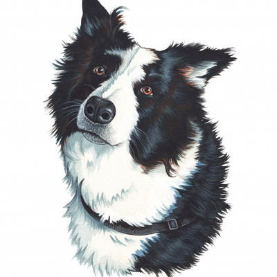 Artist image