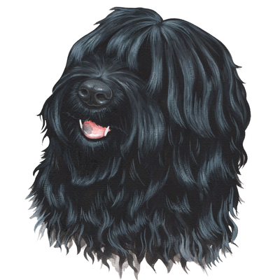 Artist image