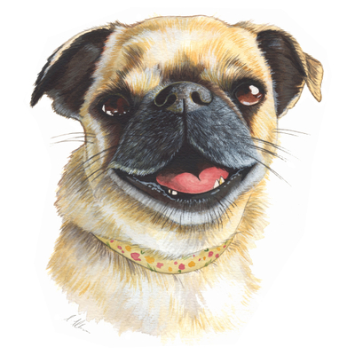 Artist image