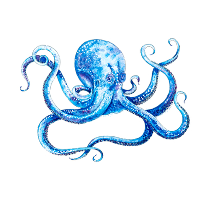Artist image