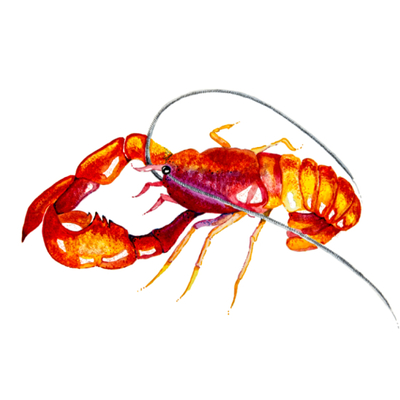 Artist image