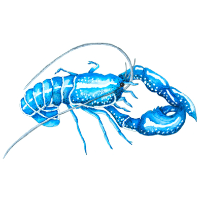 Artist image
