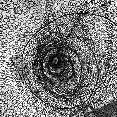 Artist image