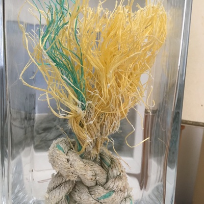 Artist image