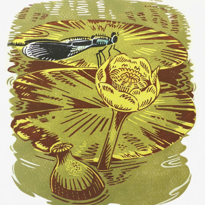 Artist image