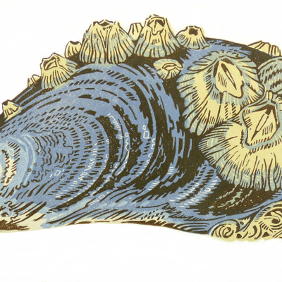 Artist image
