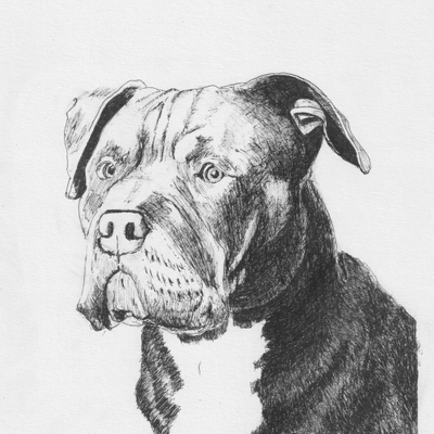 Artist image