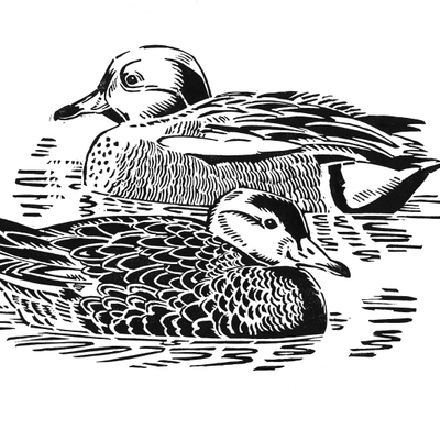 Artist image