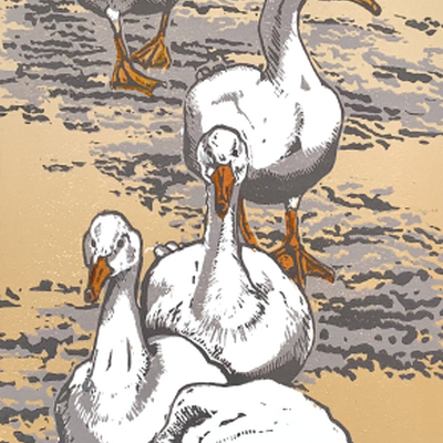 Artist image