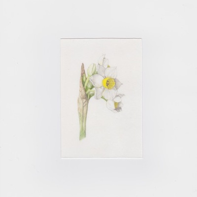 Artist image