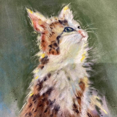 Artist image
