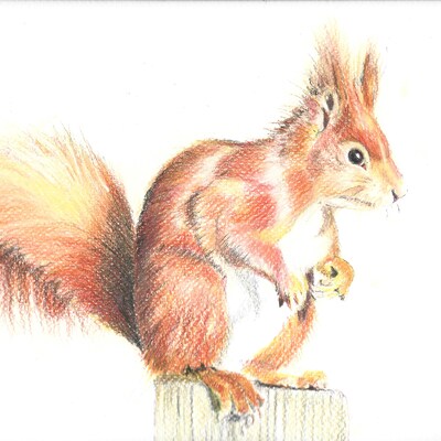 Artist image