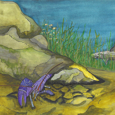 Artist image