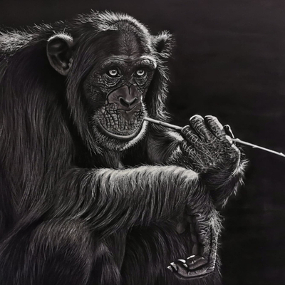 Artist image