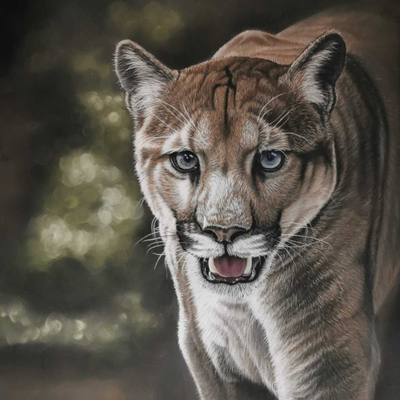 Artist image