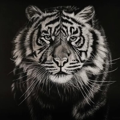Artist image