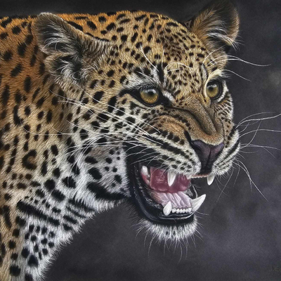 Artist image