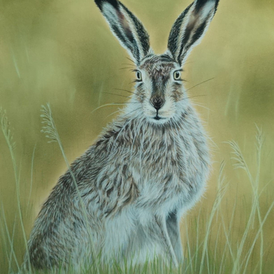 Artist image