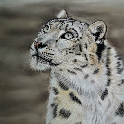 Artist image