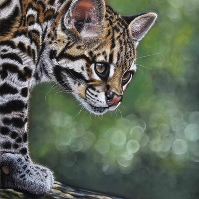 Artist image