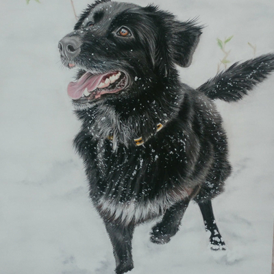 Artist image