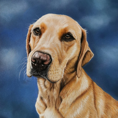 Artist image