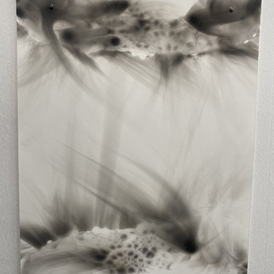 Artist image