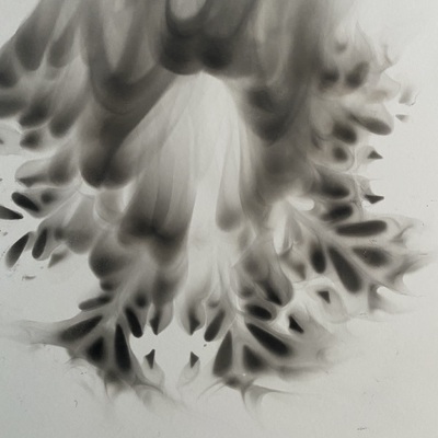 Artist image