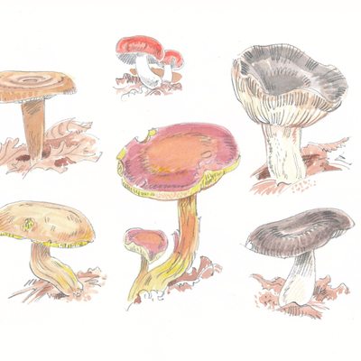 Artist image