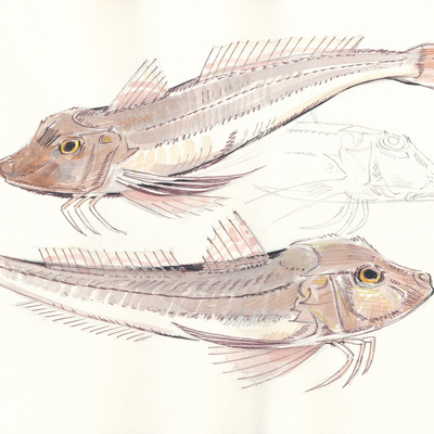 Artist image