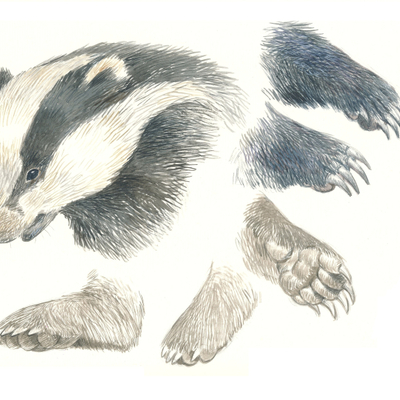 Artist image
