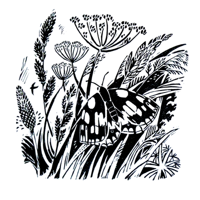 Artist image